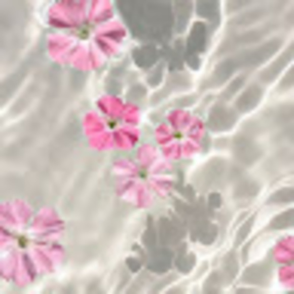 Meet your Posher, Fatima - Picture 1 of 1